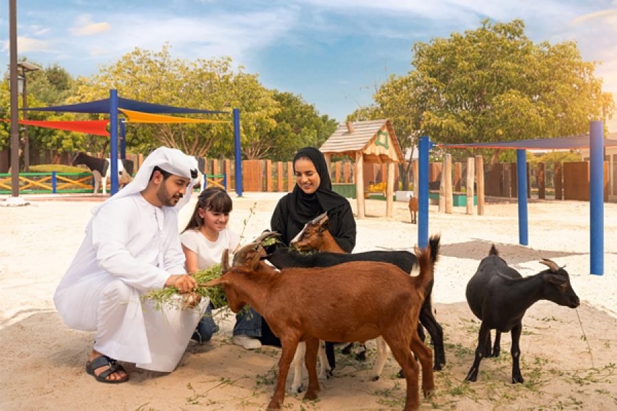 Dubai Safari Park Ticket